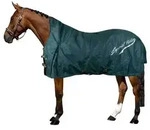 Imperial Riding Outdoordecke 50g IRHSuper-dry Regendecke Forest Green 185 (135...