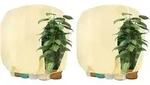 Winterschutzhauben f&uuml;r Pflanzen 190x220cm Beige 2 St&uuml;ck - Beige