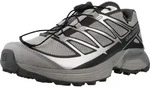 SALOMON XT PATHWAY GTX Silber - Silber - 44