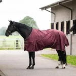 Imperial Riding Weidedecke in Gr&ouml;&szlig;e 185 - Outdoordecke IRHBasic ohne Halsteil