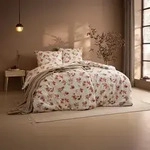 Estella Feinflanell Bettw&auml;sche Sicina apricot 135x200 cm + 80x80 cm - Orange