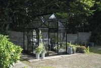 Gew&auml;chshaus Halls Icon 6 3,7 m&sup2; Sicherheitsglas 3 mm 192,5 x 192,5 cm schwarz