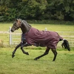 Horseware Weidedecke in Gr&ouml;&szlig;e 140 - Amigo 1200D Turnout 100g - Burgundy/Navy &