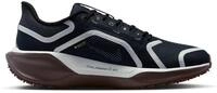 Schuhe Nike Pegasus 41 GTX FQ1357401