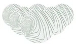 Seltmann Weiden Life Nature Jahresringe Fr&uuml;hst&uuml;cksteller &oslash; 22,5 cm 6er Set -...