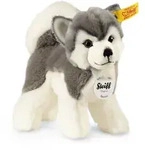 Steiff Bernie Husky 17 grau/weiss stehend 104985 - Wei&szlig;