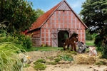Steiff Kuscheltier Maus Piff Grau (10cm) - Grau