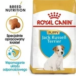 Royal Canin Jack Russell Junior, Welpe, Jack Russell Terrier, Klein (5-10 kg),