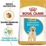 Royal Canin Labrador Retriever Junior - 3 kg