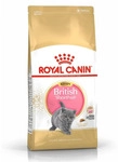 Royal Canin British Shorthair Kitten, Kitten, Britisch Kurzhaar, Gefl&uuml;gel, Reis,