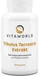 Vitaworld Tribulus Terrestris Extrakt 500 mg | 100 Kapseln | hoher Gehalt an