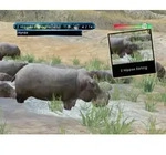 Wild Earth: African Safari
