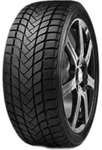 Delinte Winterreifen motorcycle-tyres WD6 ( 245/45 R18 100V XL )