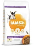 IAMS Dog Puppy Small & Medium Chicken 12kg Futter