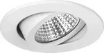 Brumberg 12361073