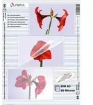 Olympia 1x50 DIN A3 80 micron, Transparent, A3, 50 St&uuml;ck(e) - Transparent