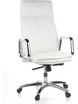 hjh OFFICE Profi Chefsessel VILLA 20 Ergonomischer B&uuml;rostuhl mit Armlehnen Leder