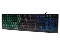 LogiLink Beleuchtete Tastatur kabelgebunden schwarz
