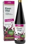 Gse Eisen Vital Complex Fl&uuml;ssigkeit z.Einn. 330 ml