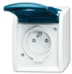Busch-Jaeger 23 MWKS-53-504 Steckdose, mit Erdungsstift grau/blaugr&uuml;n - Grau