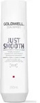 Goldwell Dualsenses Just Smooth Taming Shampoo 250ml