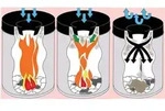 helit Edelstahl Papierkorb mit Flammenl&ouml;schkopf 15 Liter - Silber