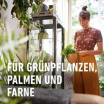 Zimmerpflanzenerde COMPO SANA&reg; Gr&uuml;npflanzen- und Palmenerde 10 L f&uuml;r alle