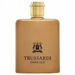 Trussardi Amber Oud Eau de Parfum f&uuml;r Herren 100 ml