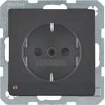 Berker 41096086, Typ F, DIN-Schiene, Anthrazit, Thermoplast, Status, IP20 - Grau