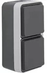Berker 47703555, Typ F, DIN-Schiene, Grau, Thermoplast, IP55, 250 V - Grau