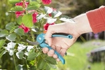 GARDENA Gartenschere B/S