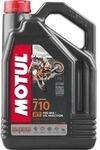 Motul 710 2T 4 Liter Kanister Reifen - Gold