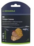 Dennerle Nano Catappa Leaves