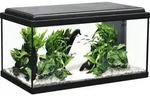 Aquarium aquatlantis Advance 60 mit LED-Beleuchtung, Filter, Heizer ohne Unterschrank
