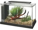 Hagen Fluval SPEC 5 Nano, 52x19x30 cm, 21,1 Ltr , schwarz