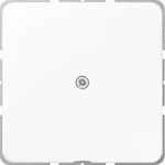 Jung Leitungsauslass aws mit Zugentlastung CD 590 A WW