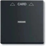 Busch Jaeger Zentralscheibe sw mt f&uuml;r Cardschalter 1792-885 (1710-0-3905) - Schwarz