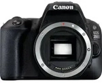 Canon EOS 200D + EF-S 18-55mm 4.0-5.6 IS STM, 24,2 MP, 6000 x 4000 Pixel, CMOS, Full