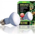Exo Terra PT2132, 75 W, 1 St&uuml;ck(e), R20, 2560 K, Tageslicht, 550 lm