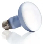 Exo Terra PT2133, 100 W, 1 St&uuml;ck(e), R25, 2640 K, Tageslicht, 780 lm