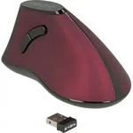 MAUS ergonomisch vertikal optisch 5-Tasten 2,4 GHz wireless USB-A Delock -