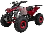Actionbikes Motors Benzin Jugendquad S-10 | 125 ccm - Offroad Quad - ATV -...