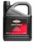 Briggs & Stratton 4T Motor&ouml;l SAE30 5L Rasenm&auml;her