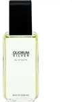Antonio Puig Quorum Silver Eau De Toilette 100 ml (man)
