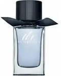 Burberry Mr. Burberry Indigo Eau de Toilette f&uuml;r Herren 100 ml