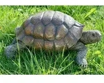 Schildkr&ouml;te Slowmotion - L&auml;nge 34 cm - Gartenfigur Deko Tierwelt - Wei&szlig;