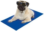 Nobby K&uuml;hlmatte f&uuml;r Hunde & Katzen, 90 x 50 cm; 62341 - Blau