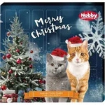 Nobby Adventskalender Katze - Braun