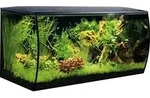 Aquarium Fluval Flex 123 l inkl. LED-Beleuchtung, Filter, Schaumstoffunterlage ohne