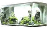 Aquarium Fluval Flex 123 l inkl. LED-Beleuchtung, Filter, Schaumstoffunterlage...